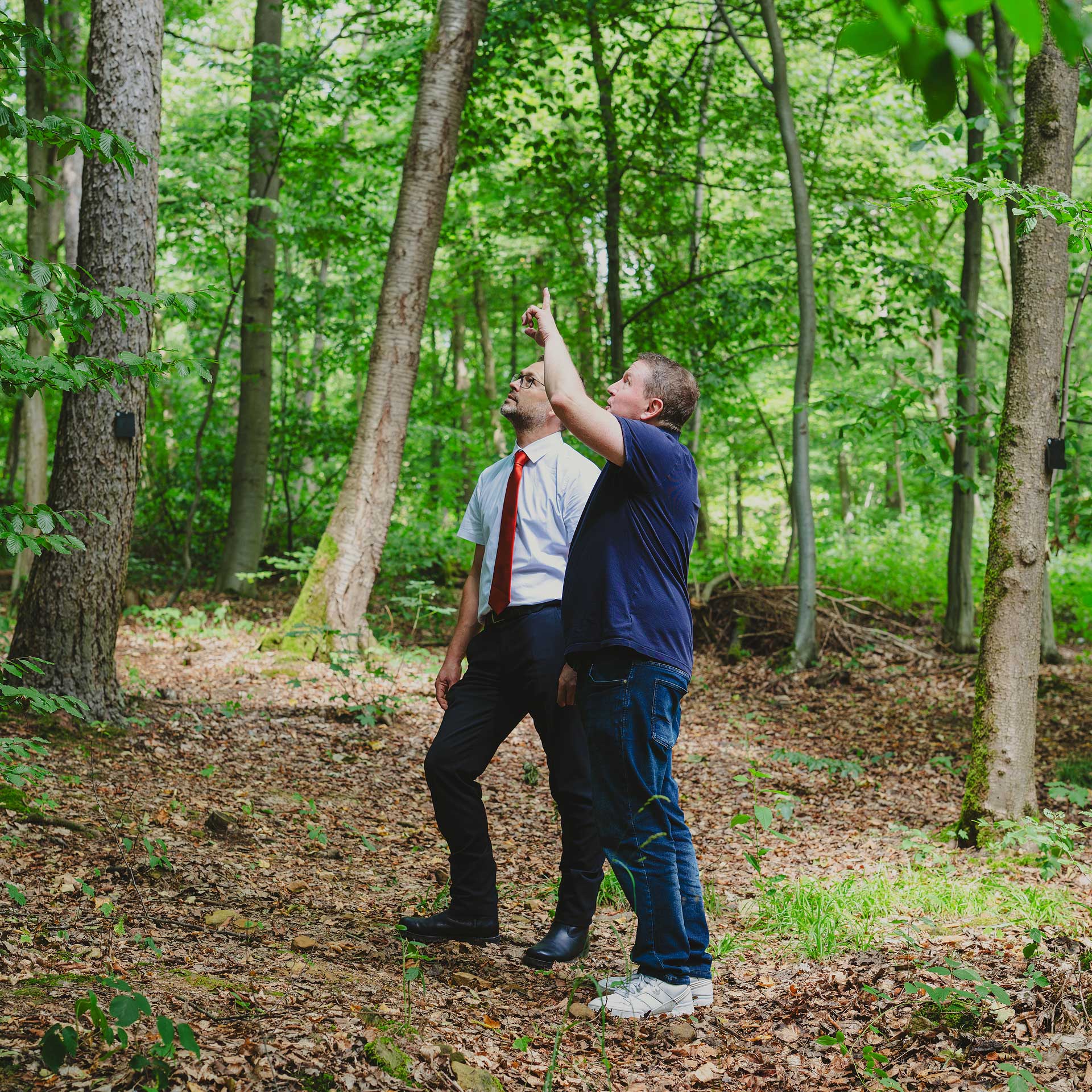 Zwei Männer bei einer Beratung im Wald; einer deutet nach oben in die Baumkronen.