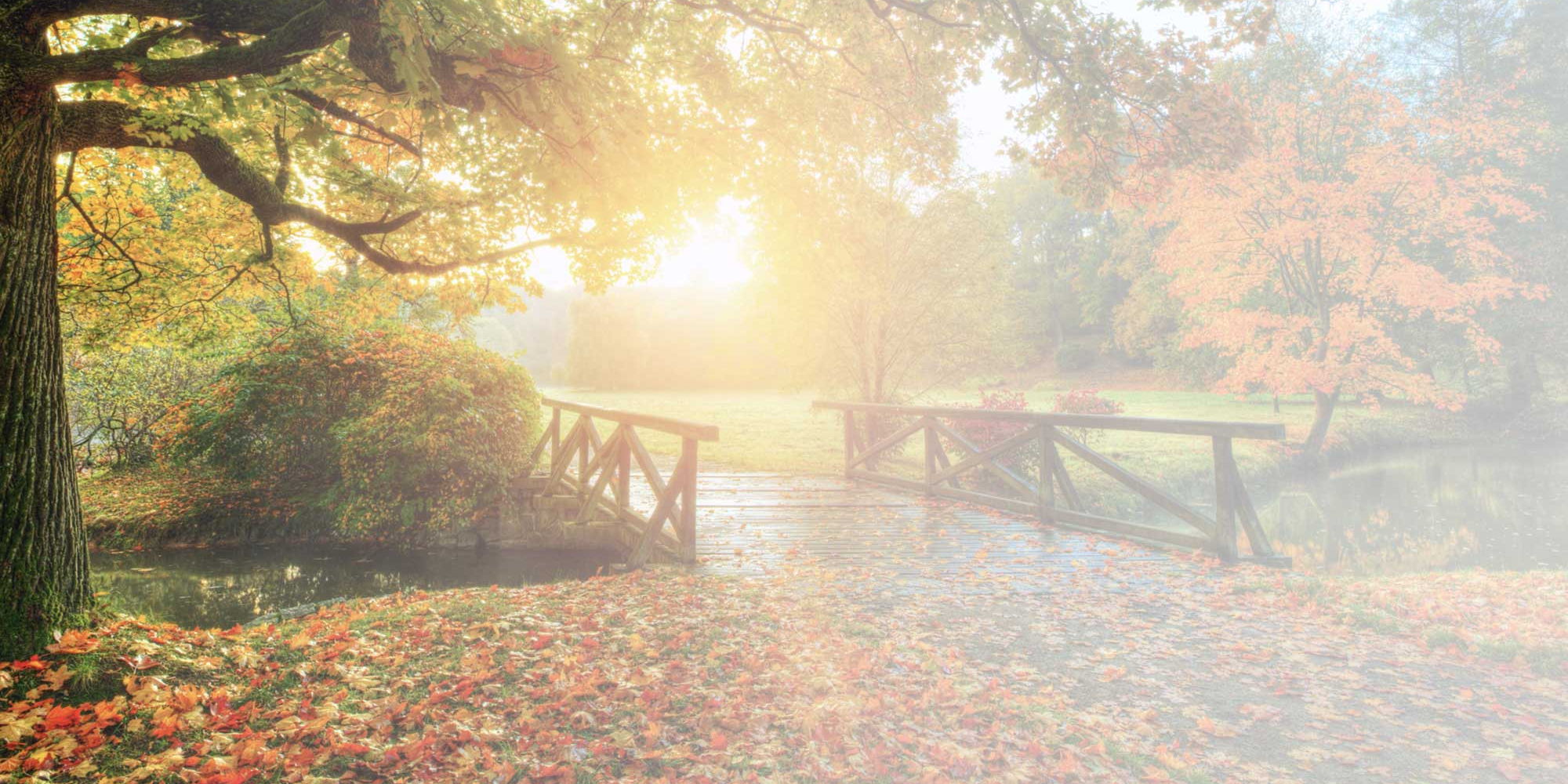 Parklandschaft im Herbst